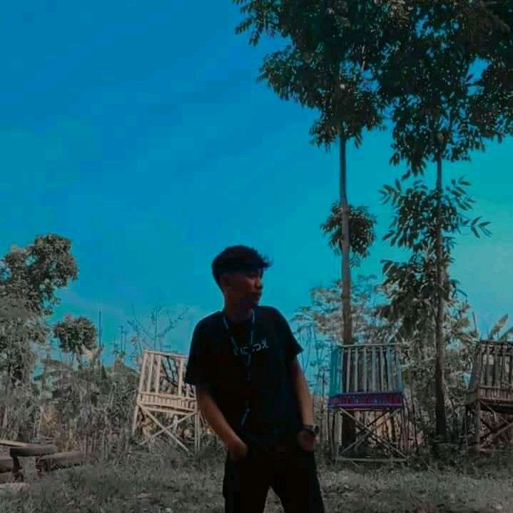 Foto xazo